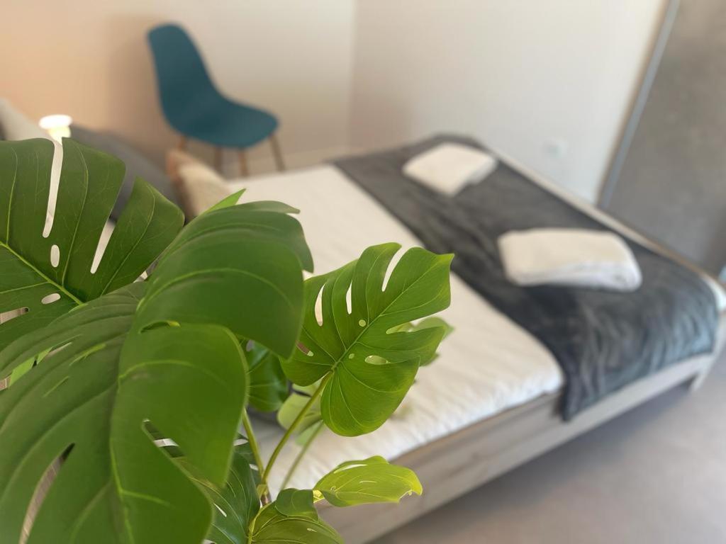 Grand Jardin - Victor-Hugo - Calme - Home-One Devecey 外观 照片